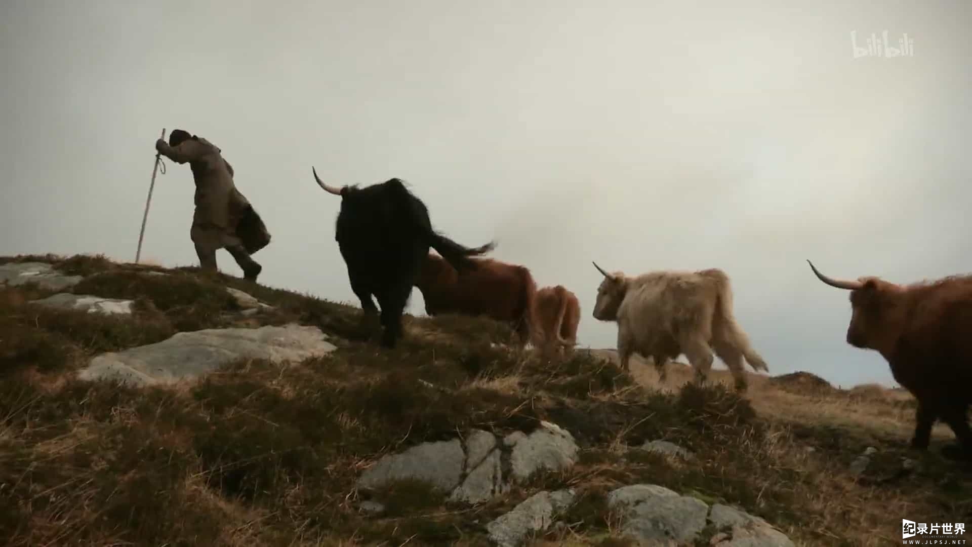 BBC纪录片/英国最美乡村生活《农耕生活 This Farming Life》全12集