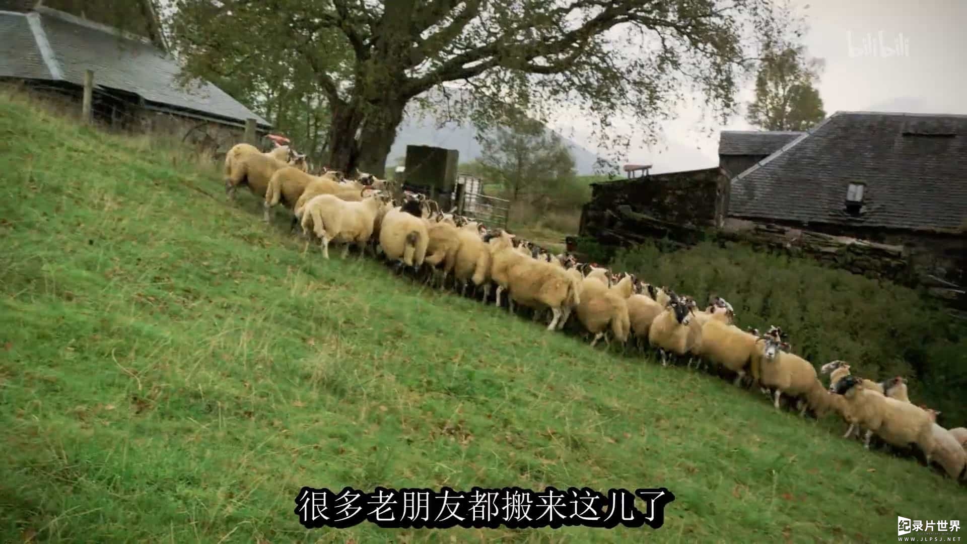 BBC纪录片/英国最美乡村生活《农耕生活 This Farming Life》全12集