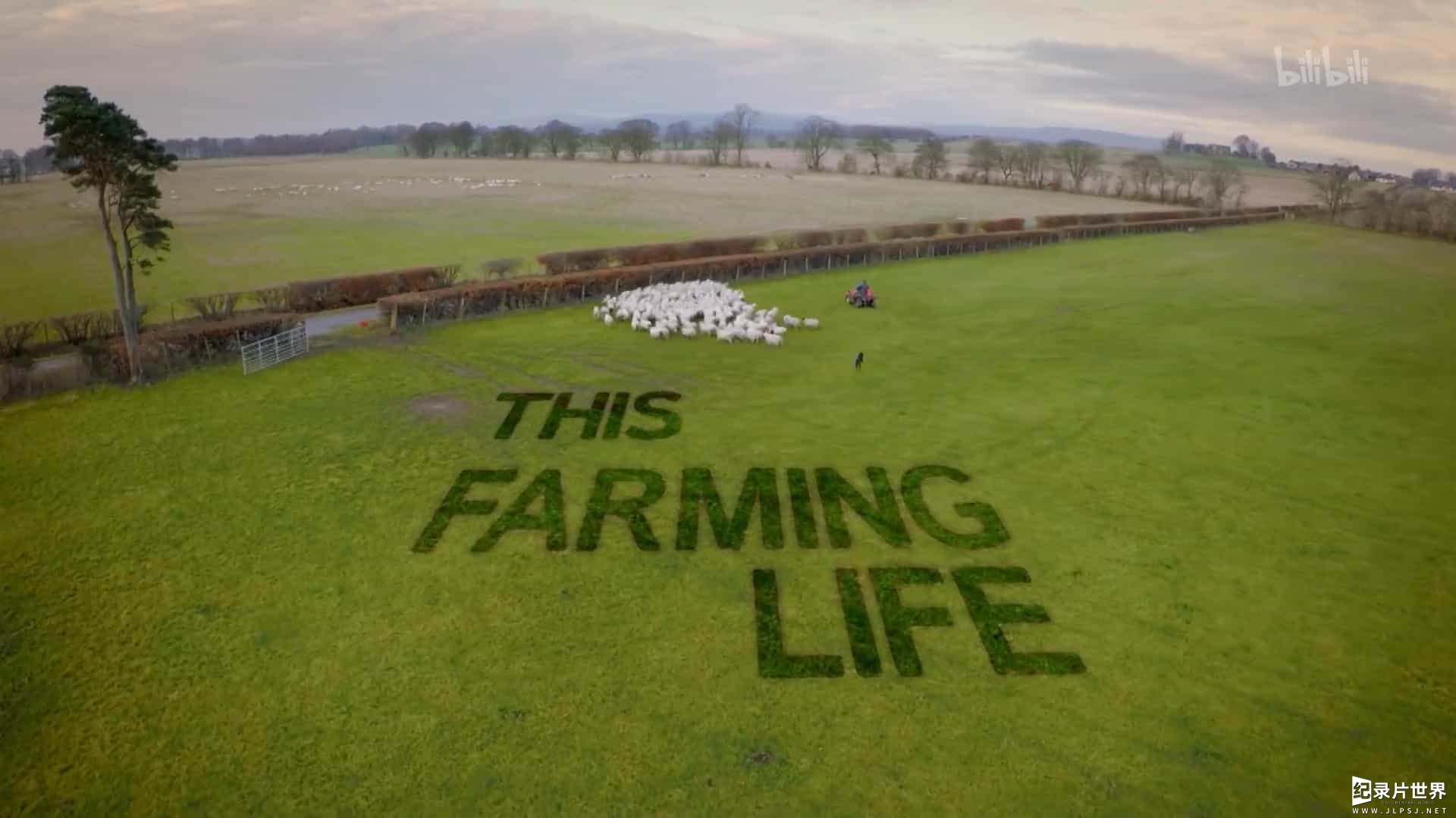 BBC纪录片/英国最美乡村生活《农耕生活 This Farming Life》全12集