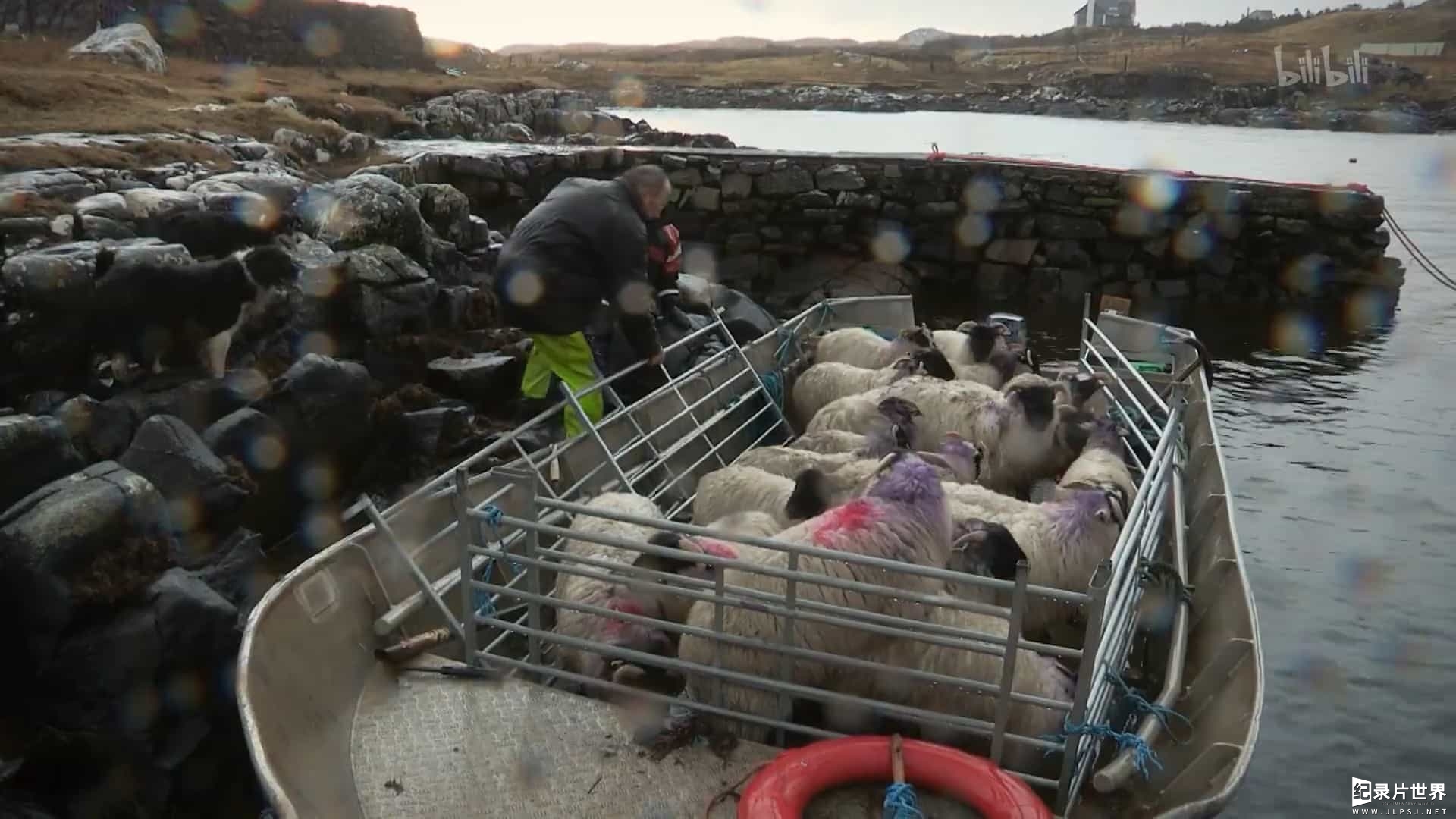 BBC纪录片/英国最美乡村生活《农耕生活 This Farming Life》全12集