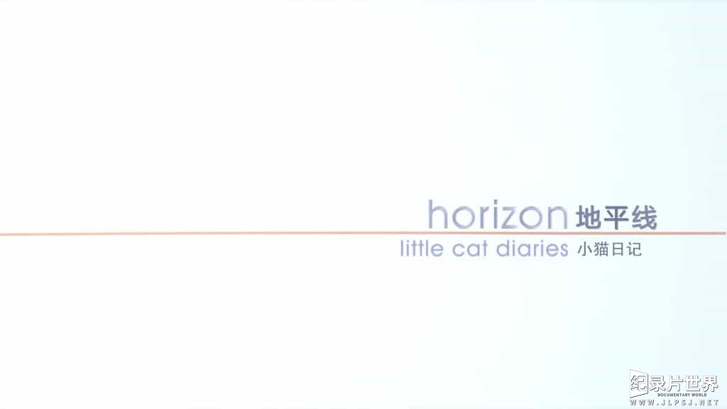 BBC纪录片/地平线系列《小猫日记 Little Cat Diaries》全1集 