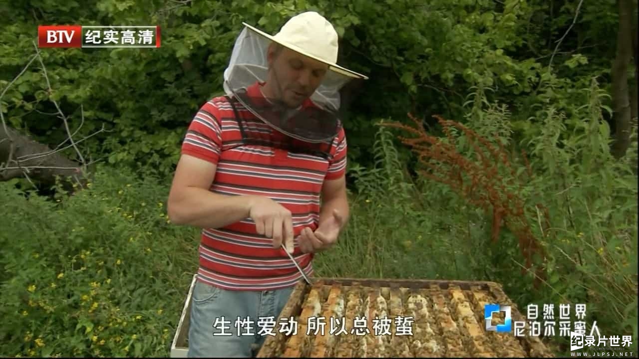 BBC纪录片/BTV引进版《尼泊尔采蜜人 Honey Hunting In Nepal 2017》英语中字