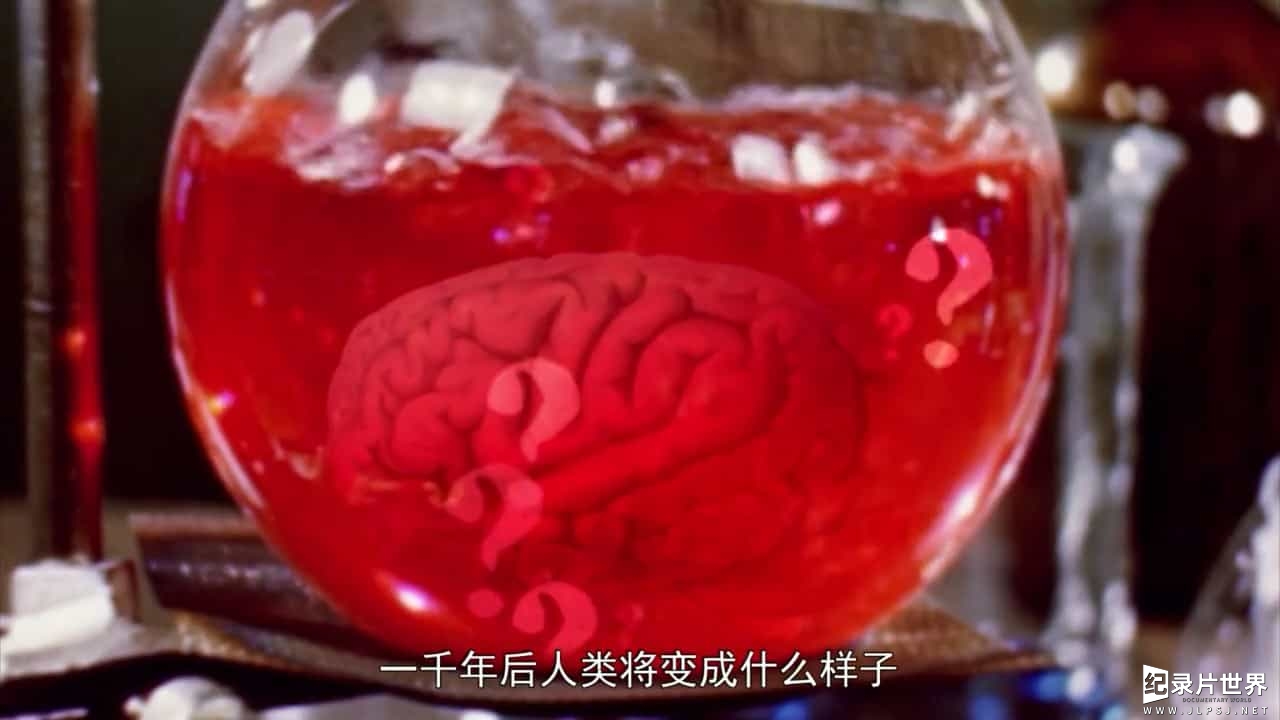 BBC纪录片《你最想知道的科学 Things You Need to Know》全1-2季共9集