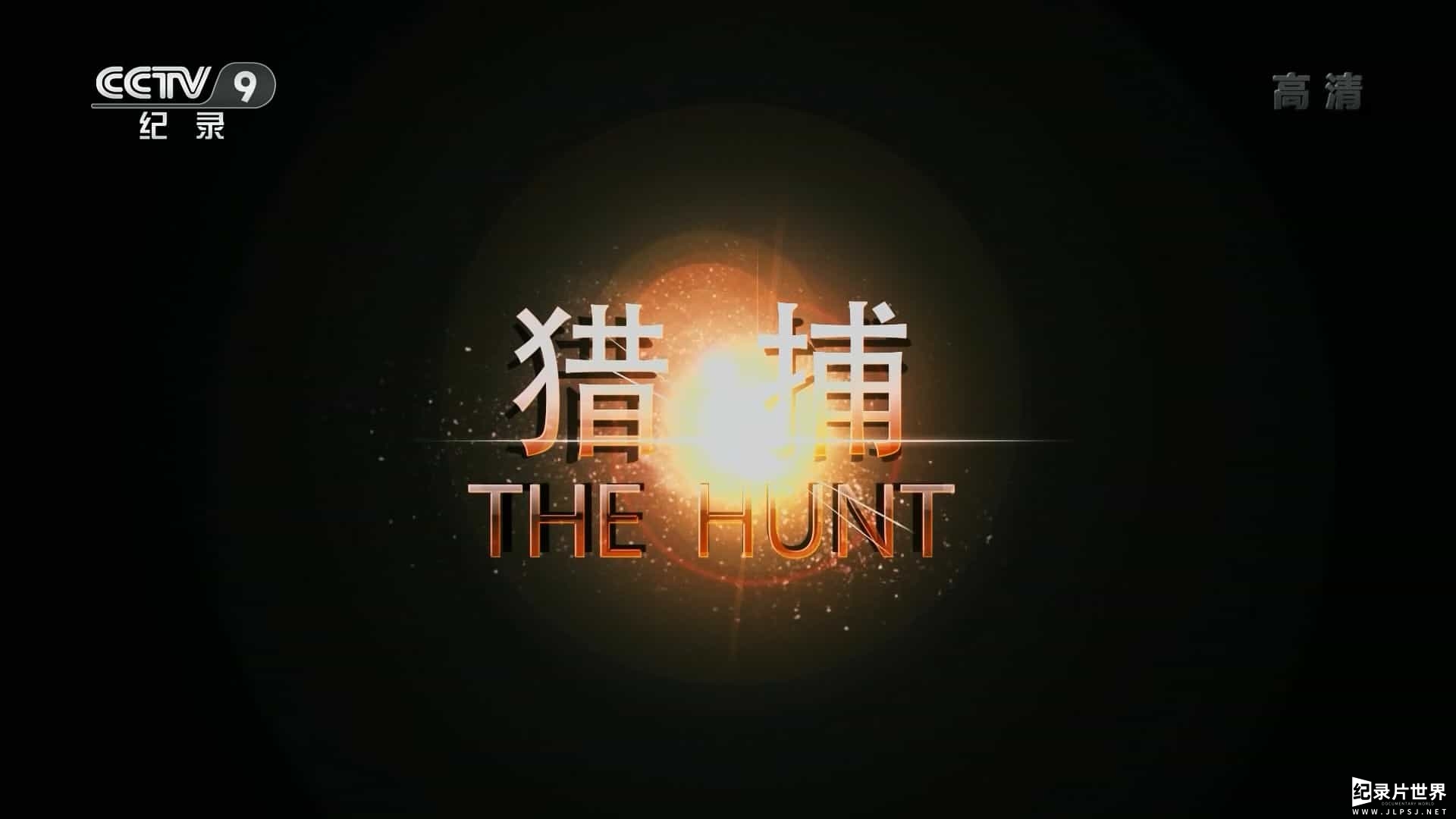  BBC纪录片《猎捕 The Hunt》全7集