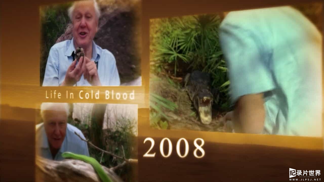 BBC纪录片《大卫·爱登堡野外探索60年/BBC生態60年 Attenborough 60 Years in the Wild》 全3集