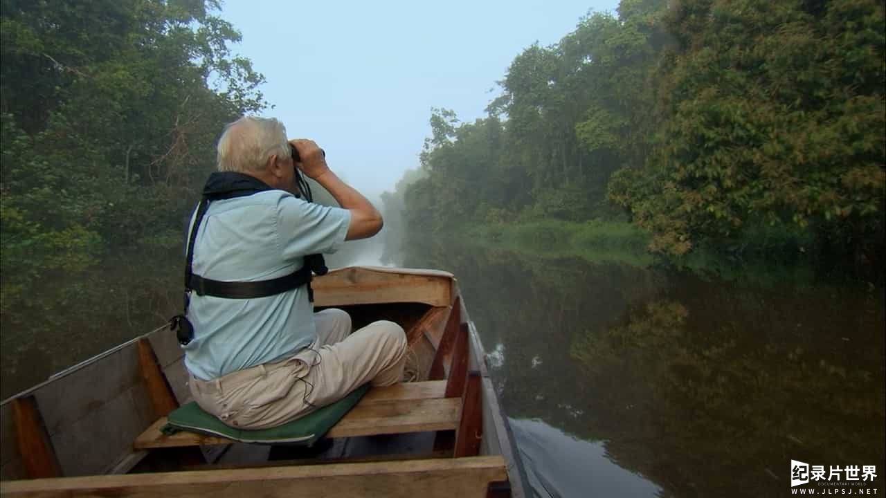 BBC纪录片《大卫·爱登堡野外探索60年/BBC生態60年 Attenborough 60 Years in the Wild》 全3集