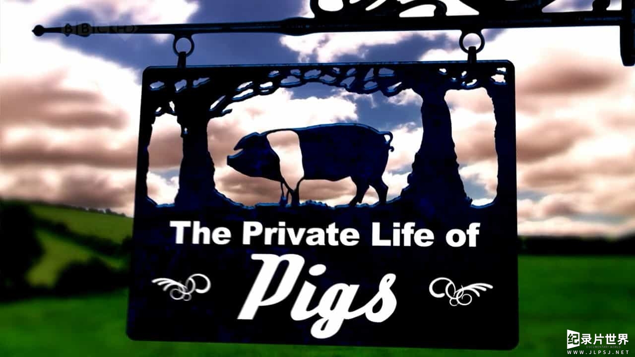 BBC纪录片《家禽家畜的私生活 The Private Life Of…》全3集