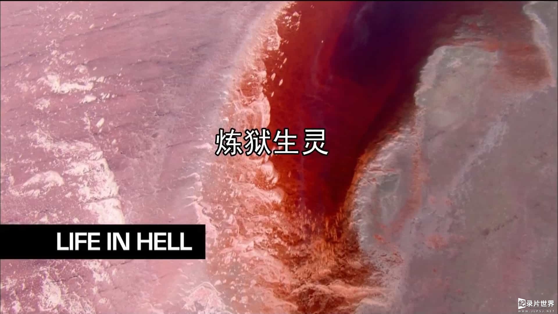 BBC纪录片《炼狱生灵/地狱中的生命 Life in Hell - Extremophile》全4集