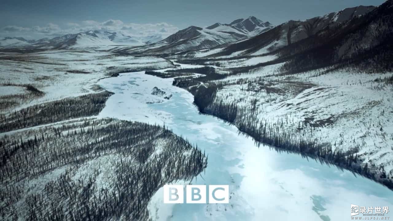 BBC纪录片《阿拉斯加:地球上的冰冻王国 Alaska Earth’s Frozen Kingdom》全3集