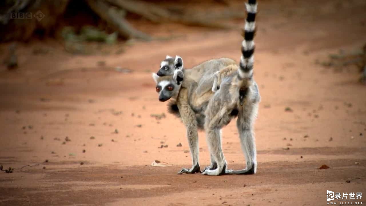 BBC纪录片《西蒙·里夫畅游印度洋 Indian Ocean with Simon Reeve》全6集