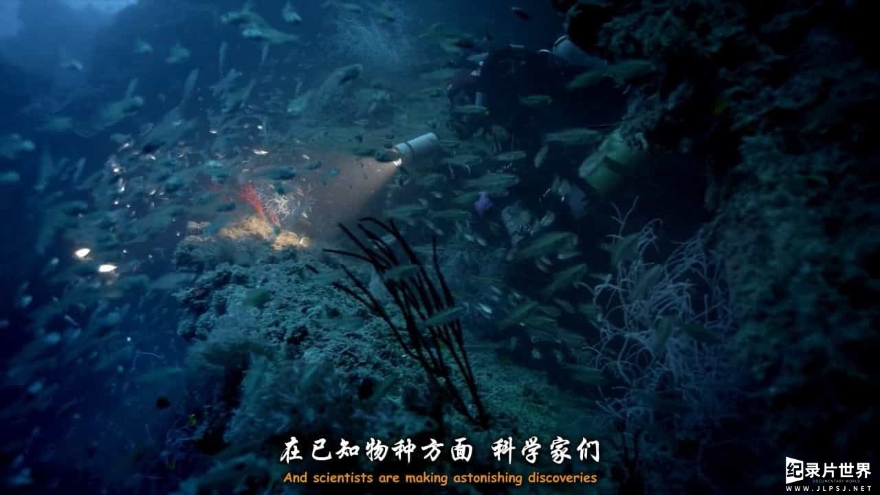  BBC纪录片《与大卫·爱登堡畅游大堡礁/老爵爷的大堡礁之旅 Great Barrier Reef with David Attenborough》全3集 