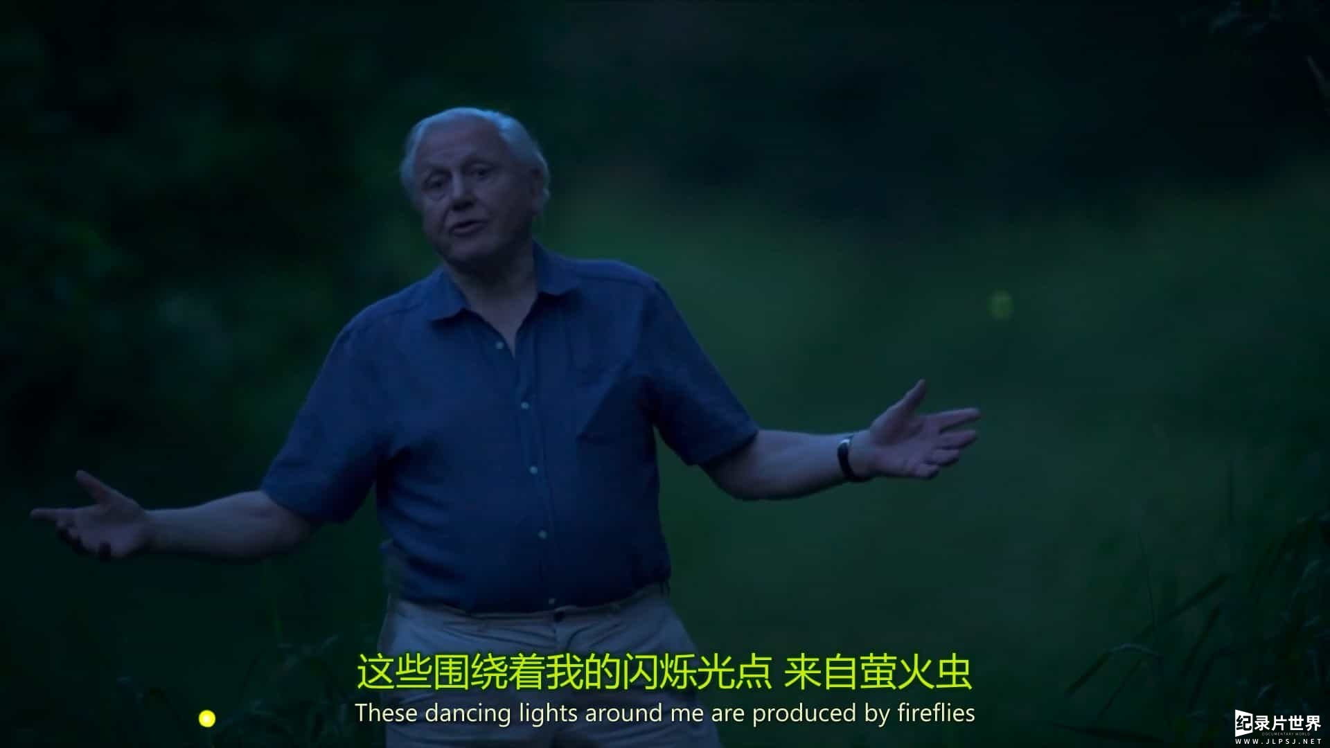 BBC纪录片《爱登堡讲述生命之光 Attenborough’s Life That Glows》全1集