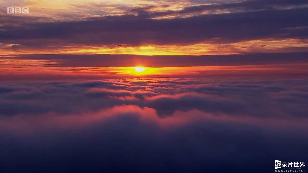 BBC纪录片《空中生灵/空中的生命 Life in the Air》全3集