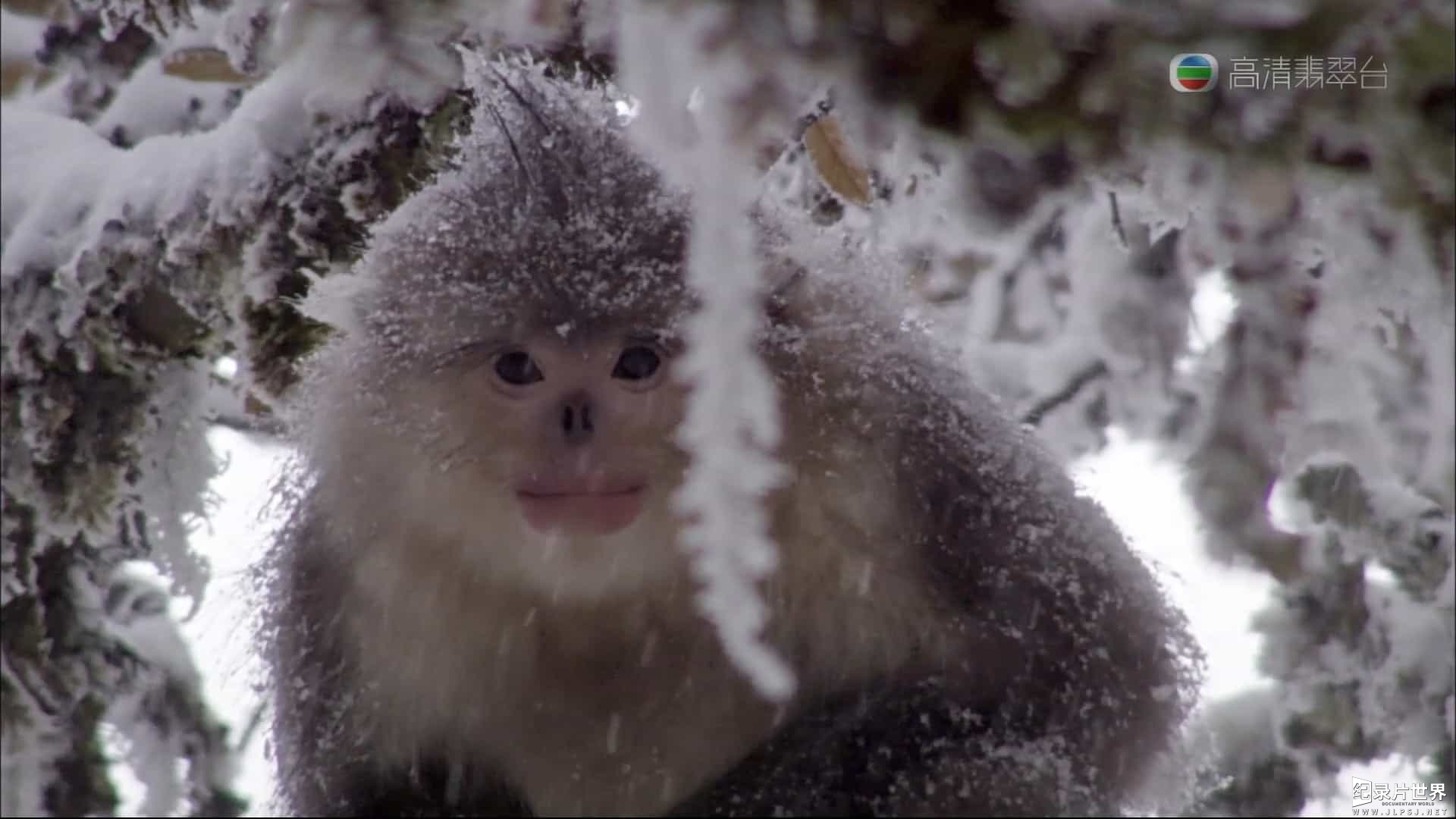 BBC纪录片《喜马拉雅山 The Himalayas》全1集 