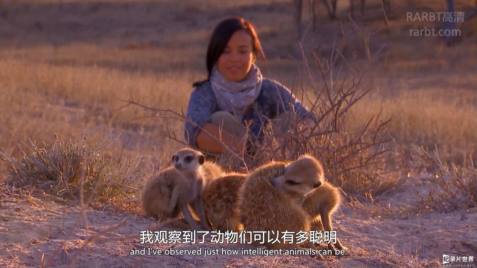 BBC纪录片/地平线系列《地平线系列：我们该关了动物园吗 Horizon: Should Close Our Zoos》全1集