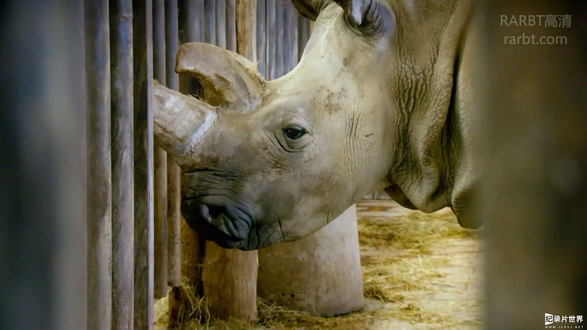 BBC纪录片/地平线系列《地平线系列：我们该关了动物园吗 Horizon: Should Close Our Zoos》全1集