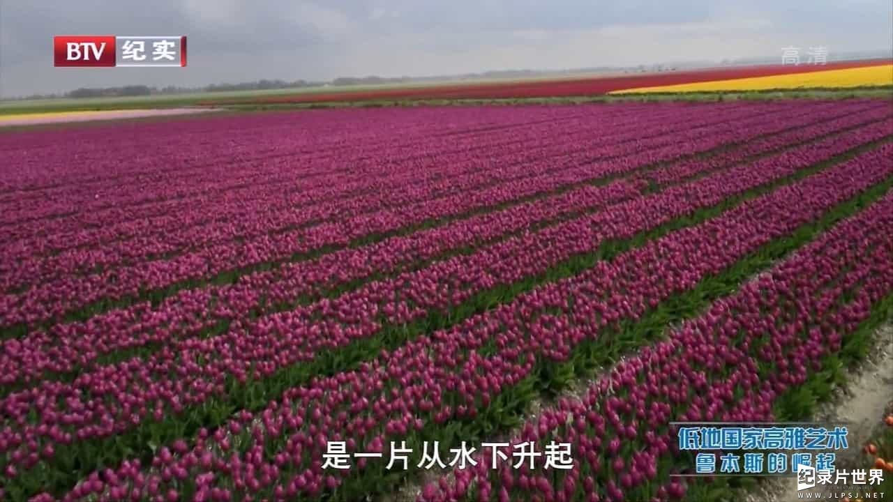 BBC纪录片《低地国家的高雅艺术 The High Art of the Low Countries》全3集 