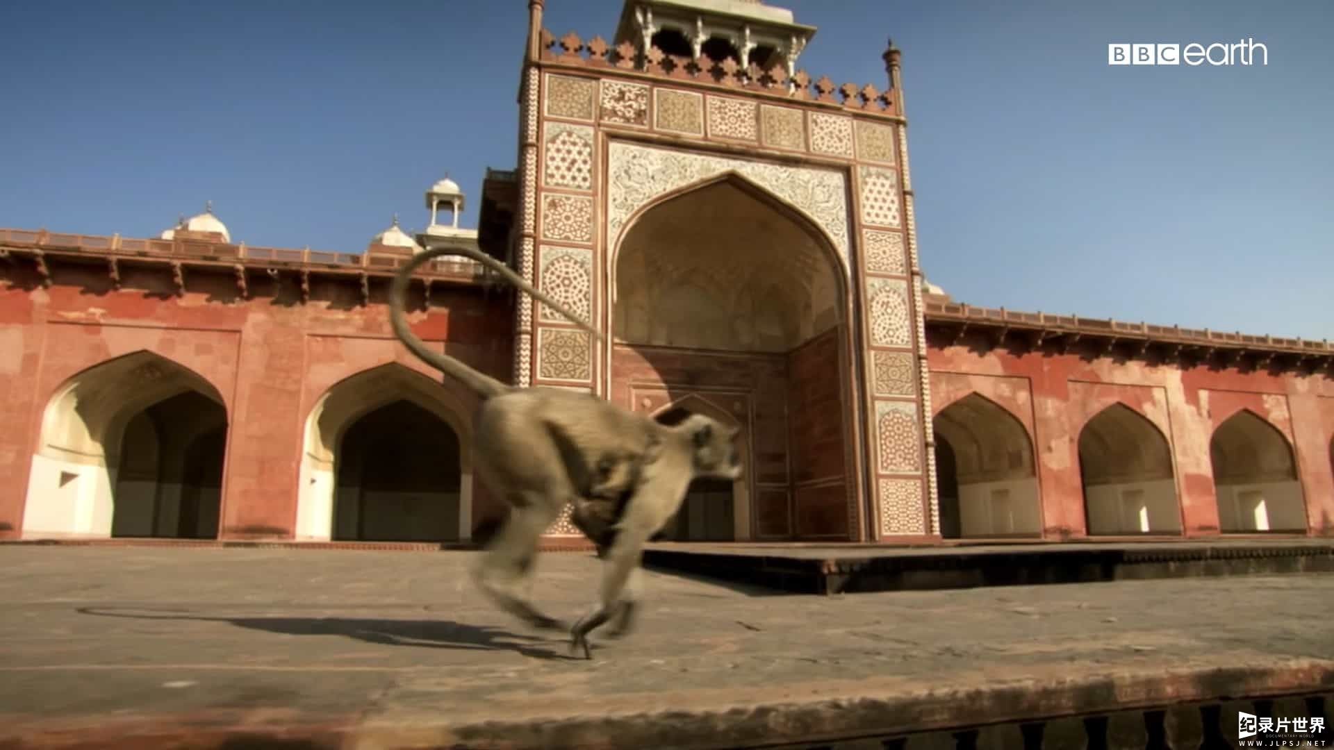 BBC纪录片《 隐秘的印度/隐藏的印度 Hidden India》第1季 