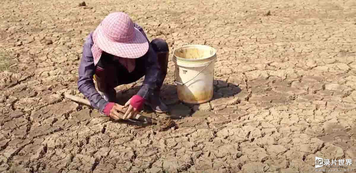 捕鱼纪录片《旱地挖鱼 Fish digging in dry land》第1-3季