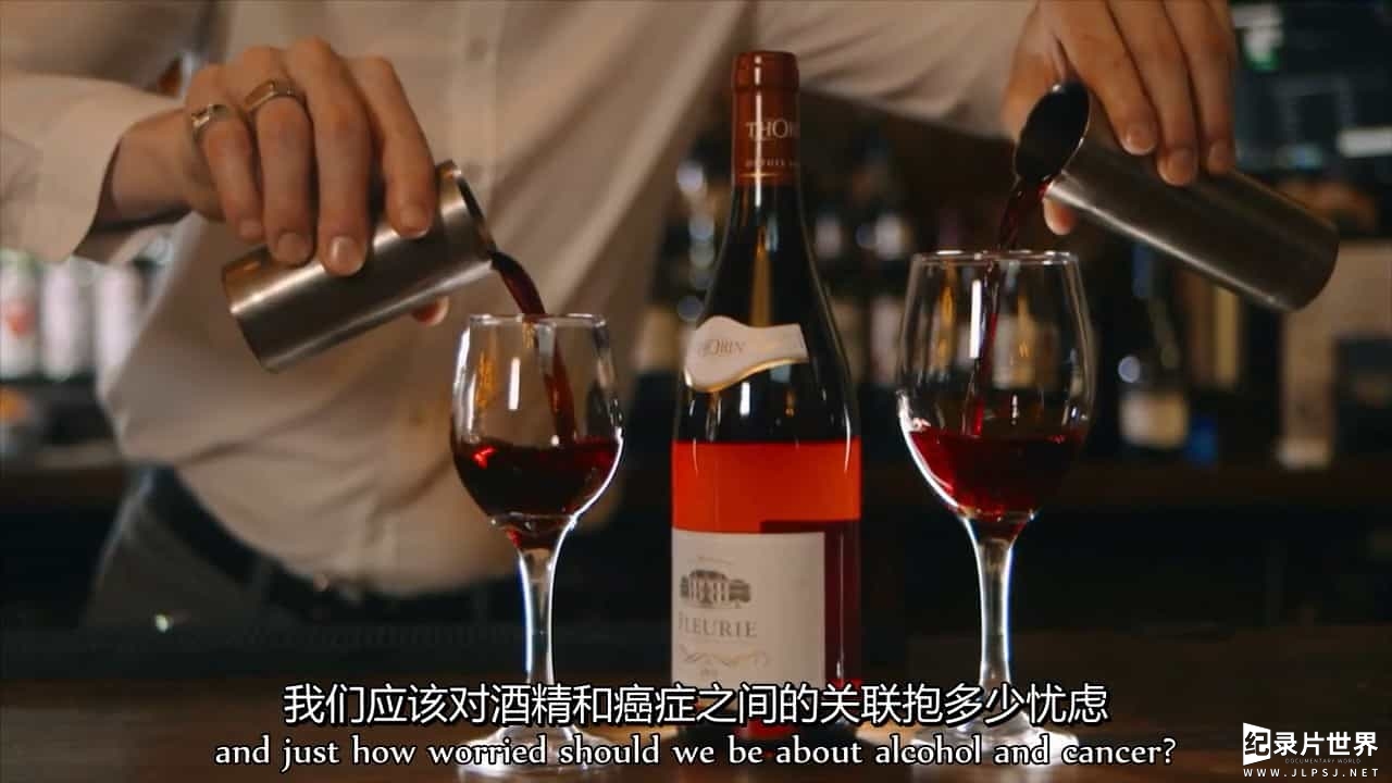 BBC纪录片《酒的真相/酒精的真相 The Truth about Alcohol 2016》全1集