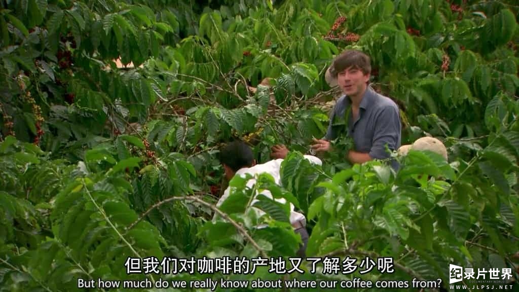 BBC纪录片《和西蒙·里夫一起寻迹咖啡/咖啡之旅 The Coffee Trail with Simon Reeve》全1集