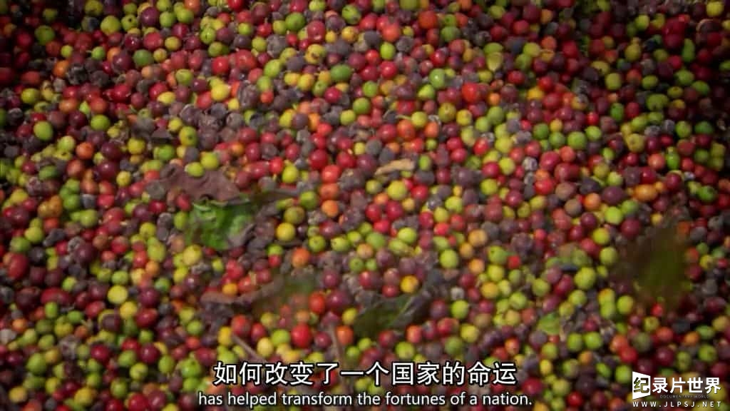 BBC纪录片《和西蒙·里夫一起寻迹咖啡/咖啡之旅 The Coffee Trail with Simon Reeve》全1集