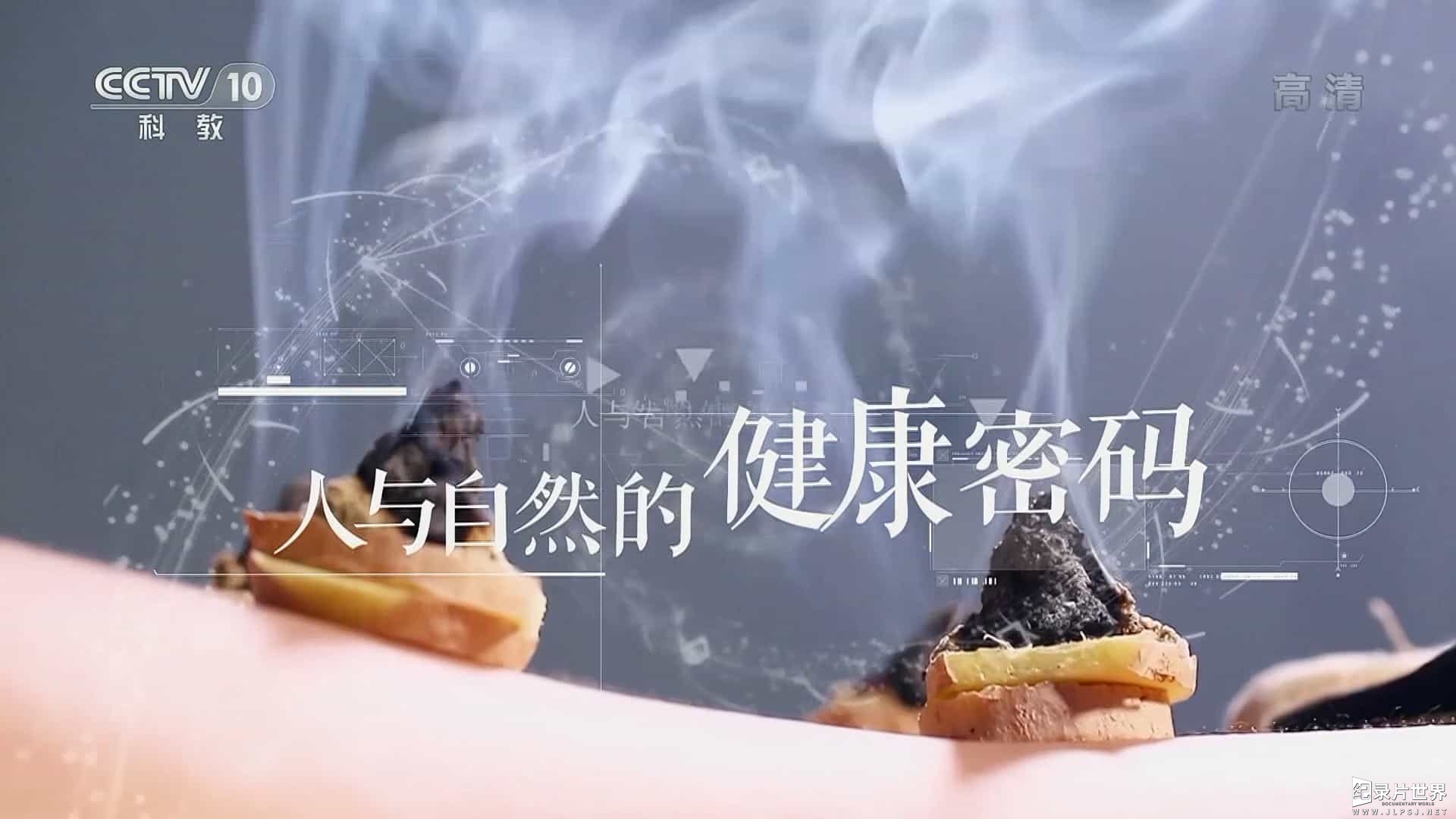 央视探索·发现《国医奇术 2019》全5集