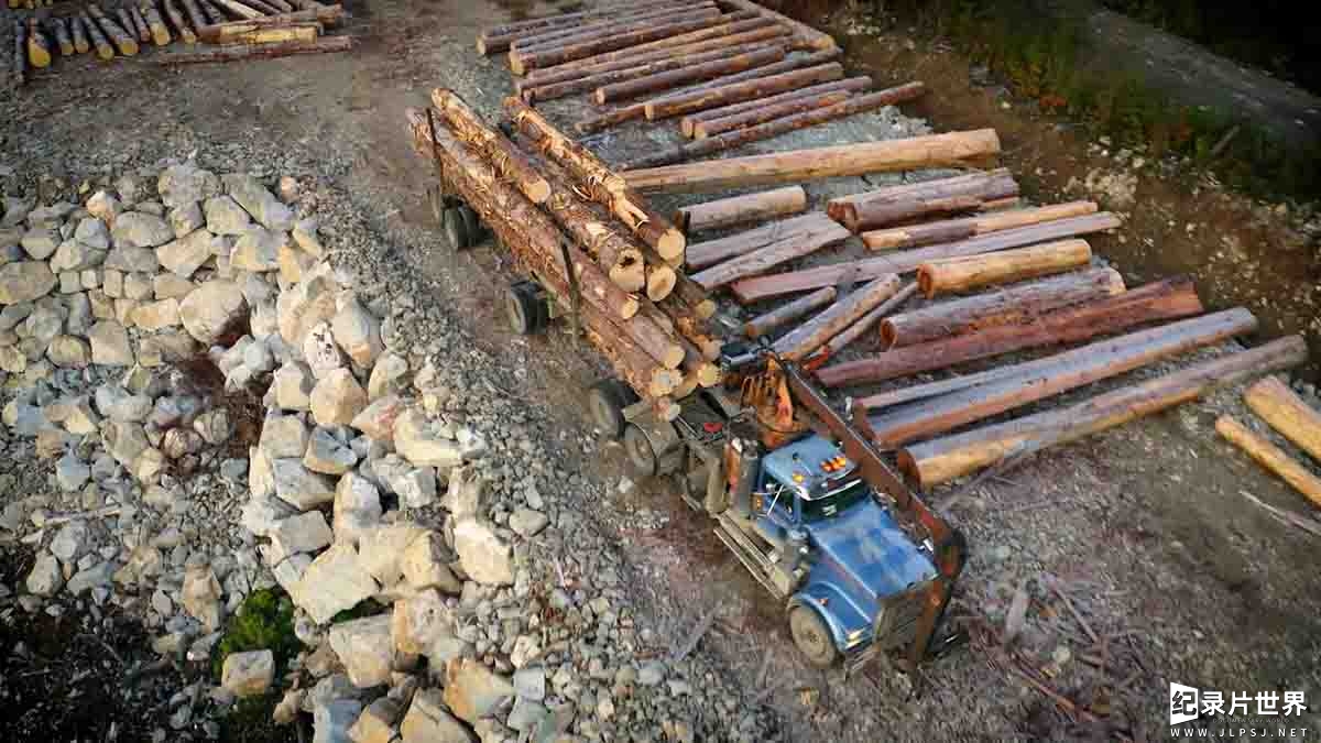加拿大纪录片《终极伐木达人 Big Timber 2020》第1季