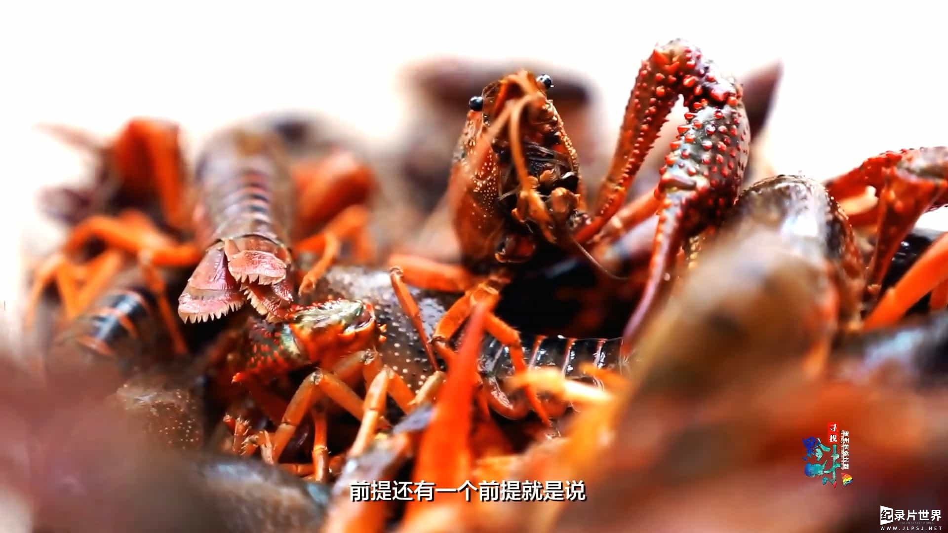 贵州美食纪录片/中国美食系列《寻找黔味 2020》全7集 