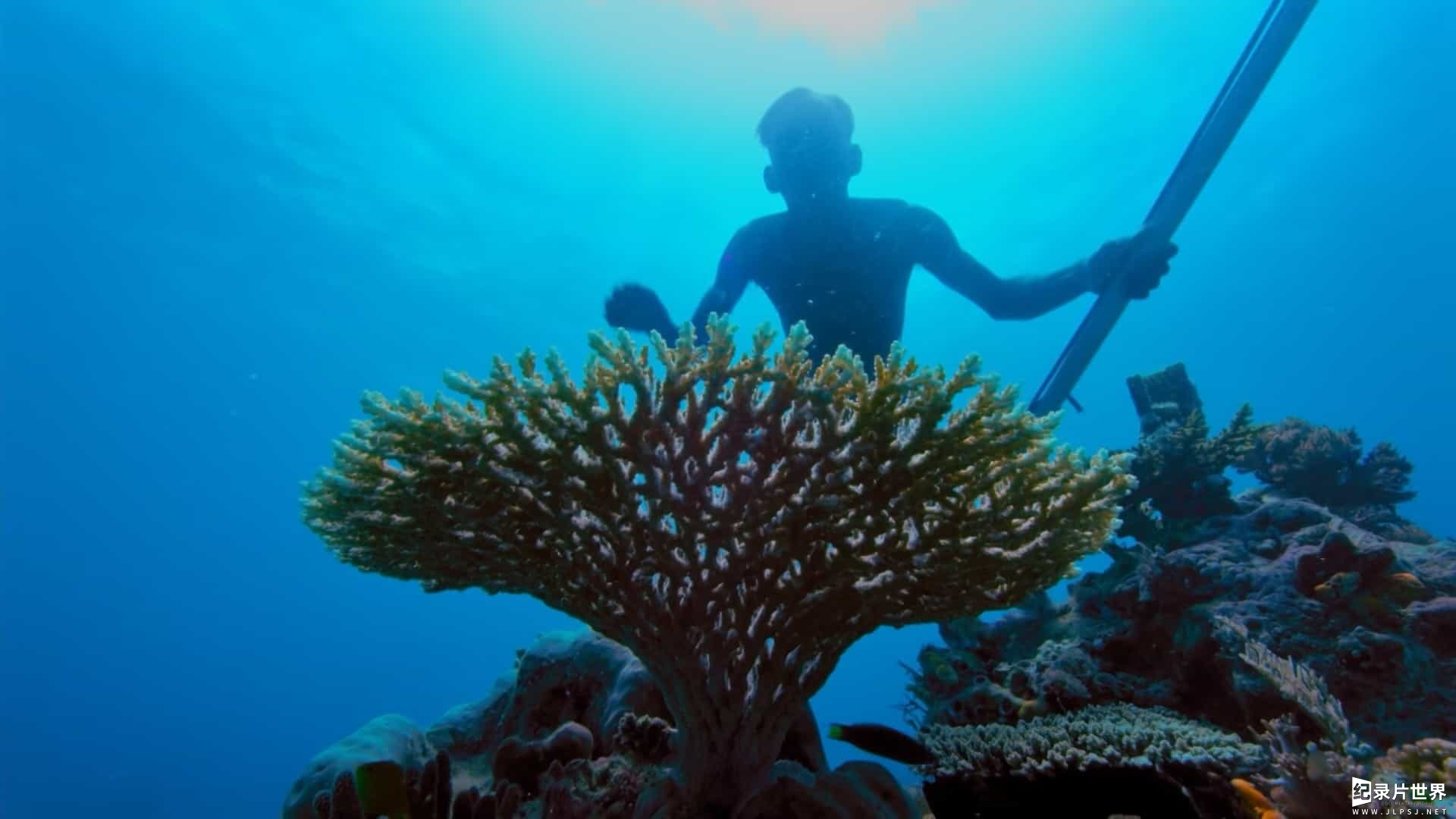 BBC纪录片《蓝星热带岛屿/地球热带岛屿之旅 Earths Tropical Islands 2020》全3集