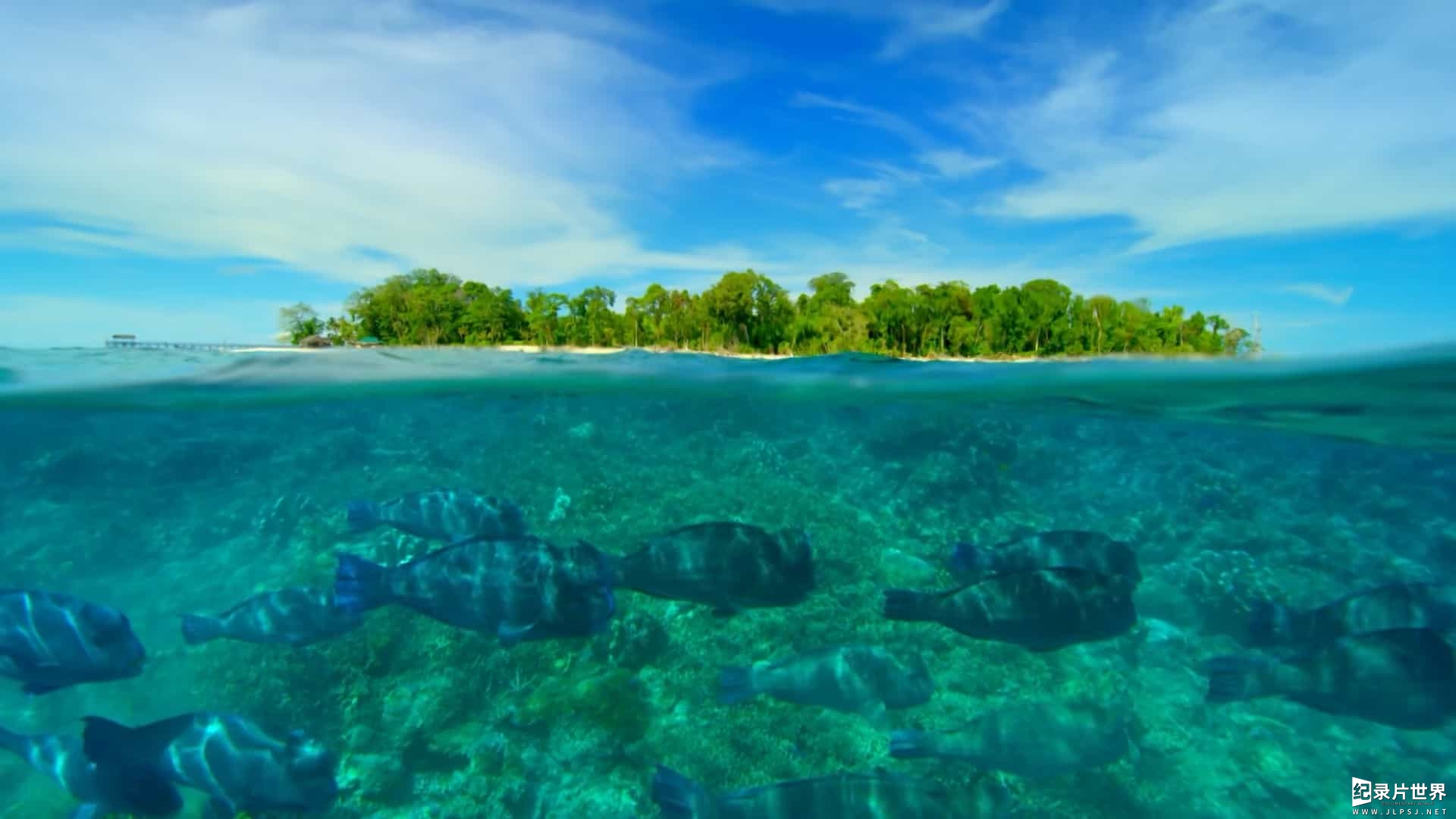 BBC纪录片《蓝星热带岛屿/地球热带岛屿之旅 Earths Tropical Islands 2020》全3集