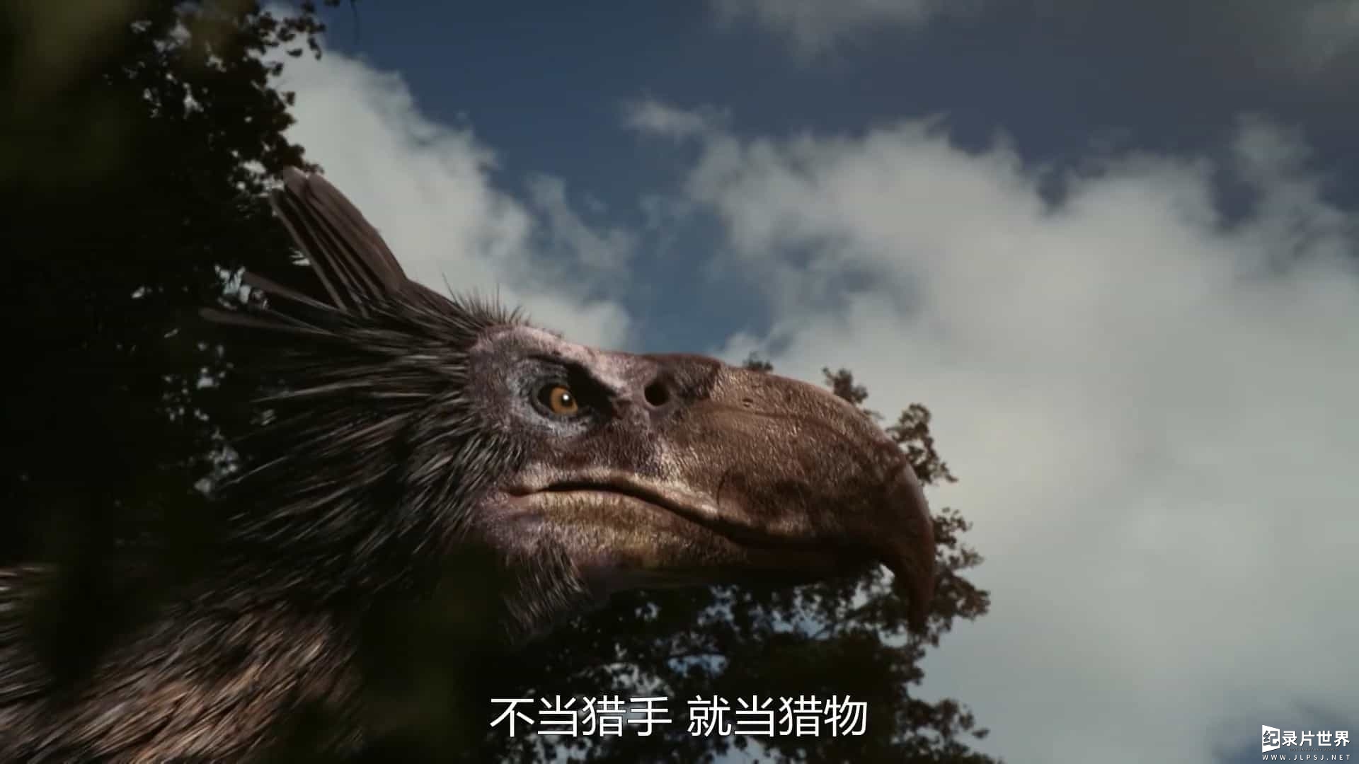 BBC纪录片《十大最致命的野兽 Top Ten Deadliest Beasts 2019》全2集 