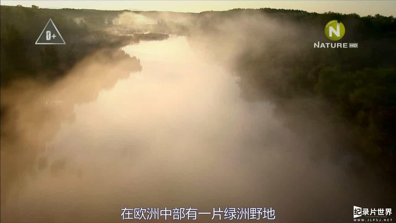 BBC纪录片《泛滥森林的秘密/长河绝色 Secrets of the Flooded Forest 2015》全1集