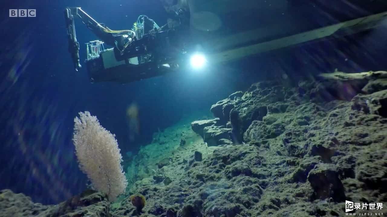 BBC纪录片《蓝色星球UK Blue Planet UK 2019》第1季