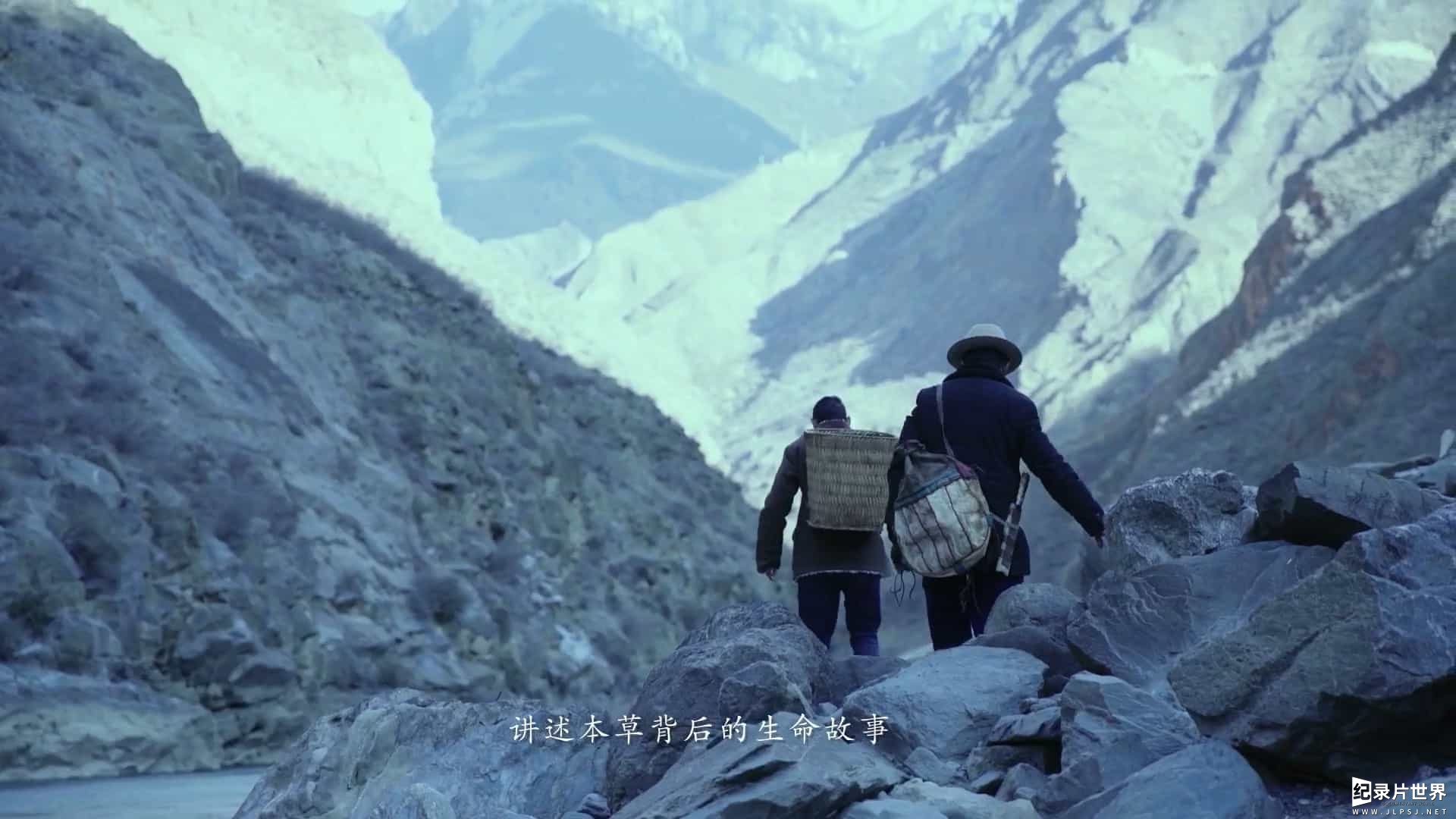 中医纪录片《滇南本草 2021》全5集