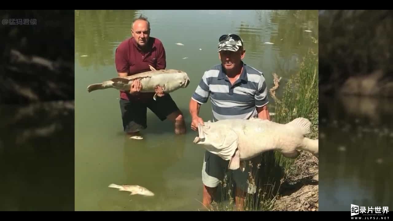 BBC纪录片《澳大利亚水战争 Australia's Water Wars 2019》全1集 