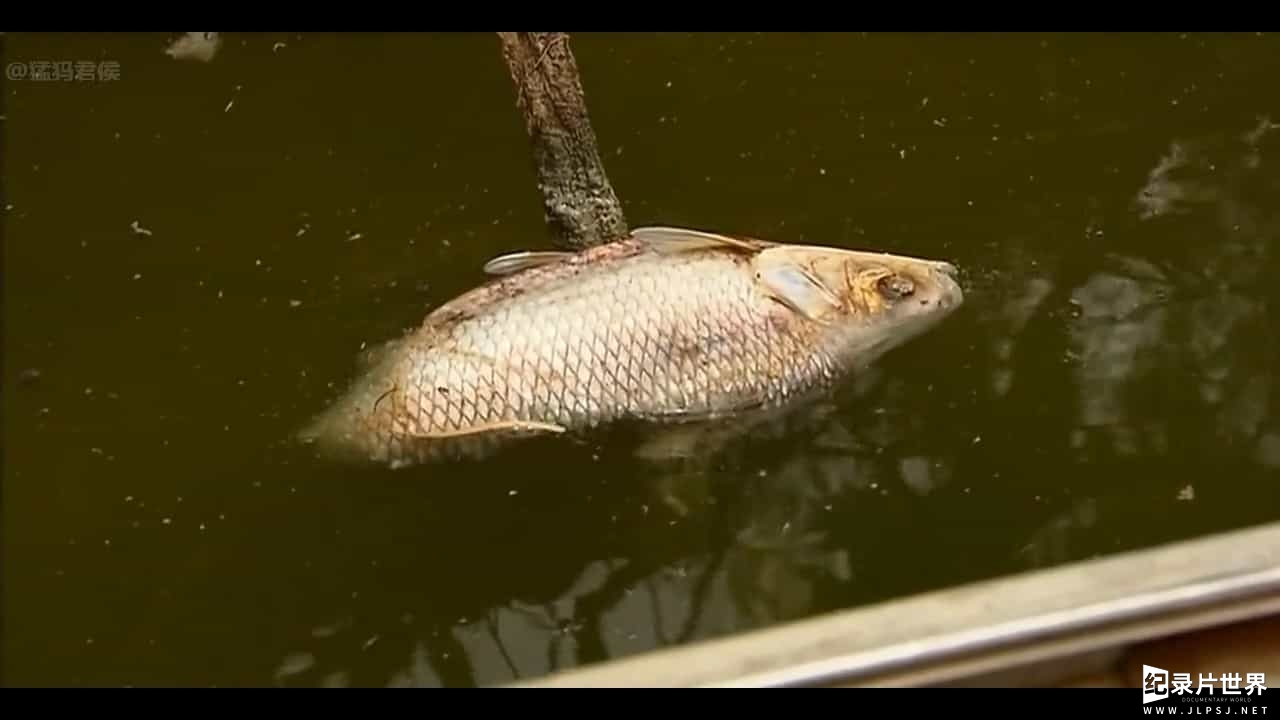 BBC纪录片《澳大利亚水战争 Australia's Water Wars 2019》全1集 