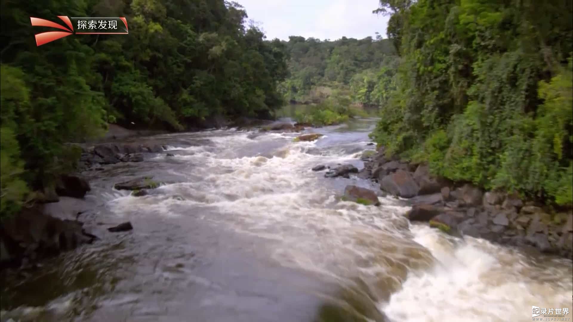BBC纪录片《探索圭亚那 Expedition Guyana 2015》全3集