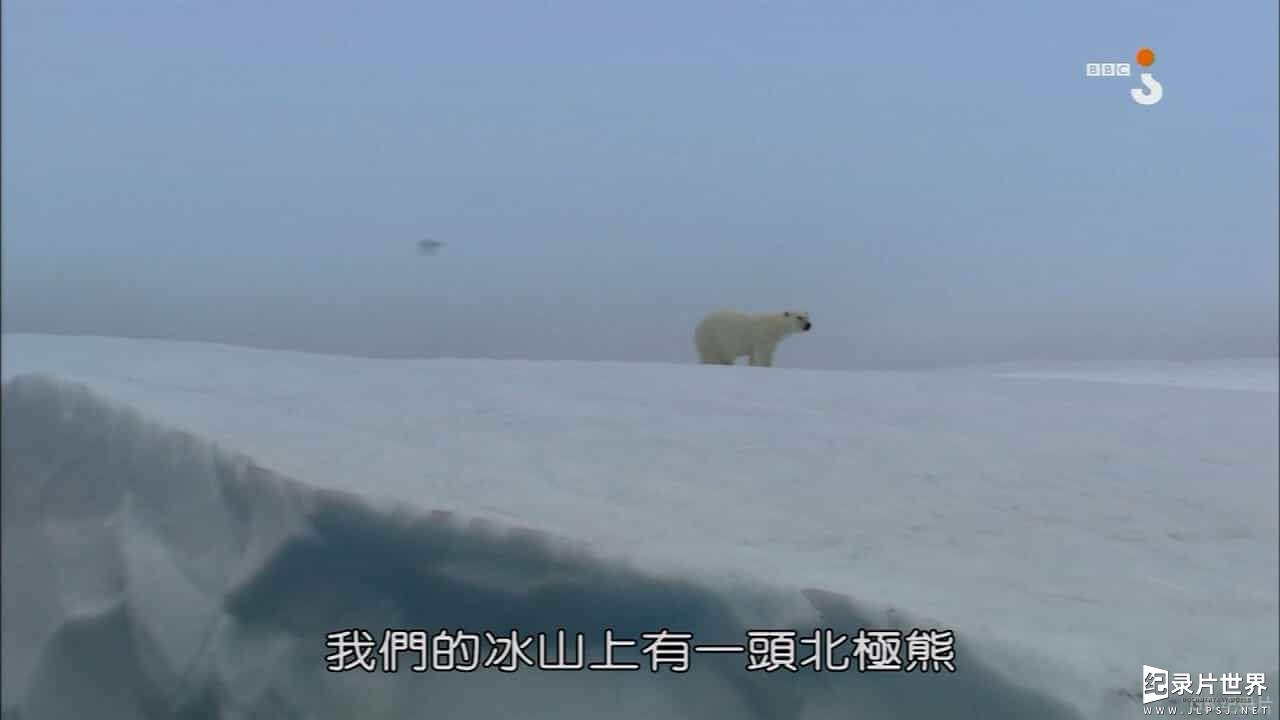 BBC纪录片《冰山任務 Operation Iceberg 2012》全2集