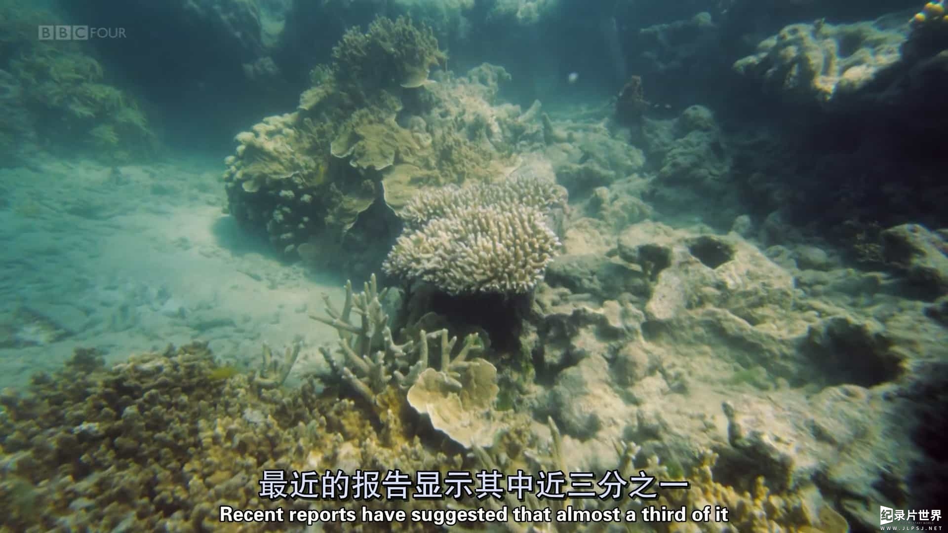 BBC纪录片《神奇大堡礁 Wonders of the Great Barrier Reef 2018》全1集 