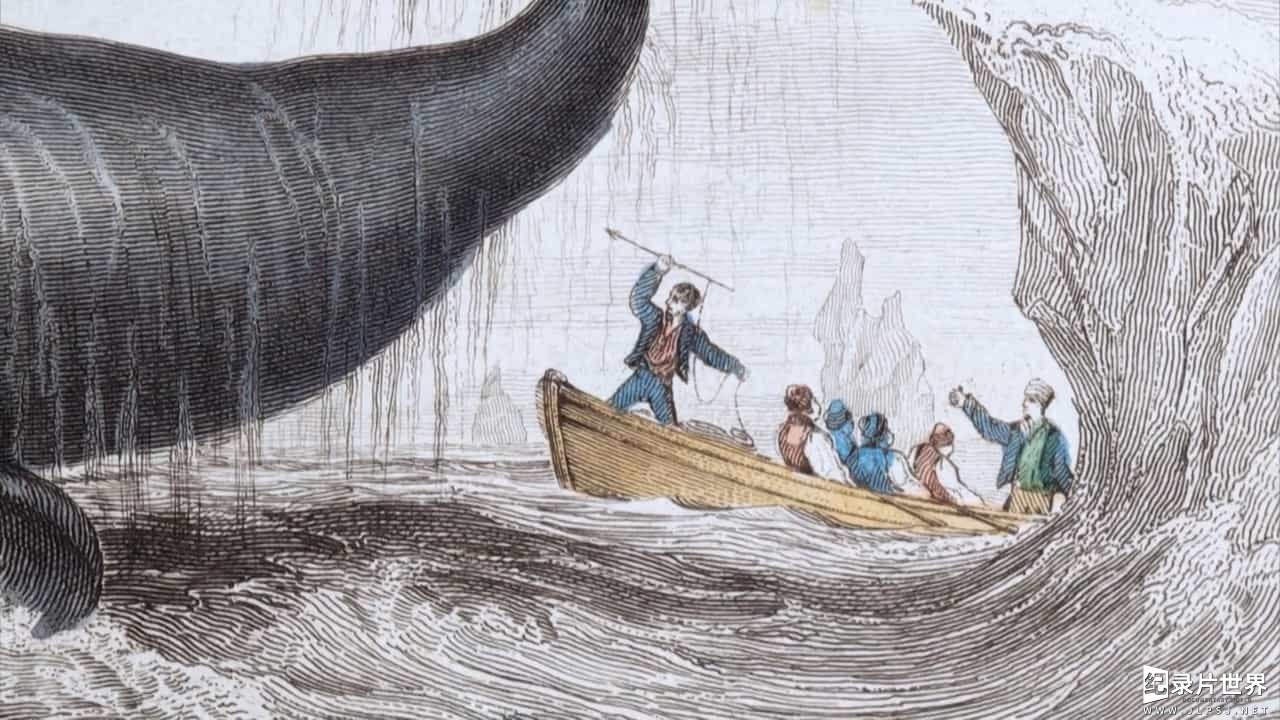 BBC纪录片《英国捕鲸船—不为人知的历史/不列颠猎鲸人 Britain's Whale Hunters The Untold Story 2014》全2集
