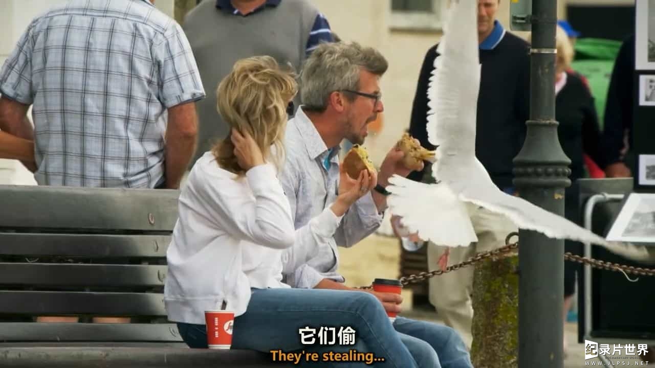 BBC纪录片《动物举止背后的谎言/品行不端的动物 Animals Behaving Badly 2018》全3集