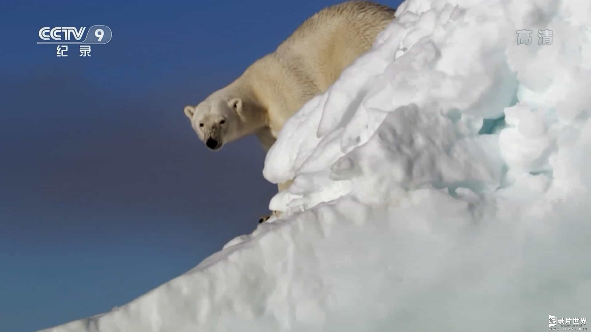 BBC纪录片《最大野兽 Nature's Biggest Beasts 2018》全1集