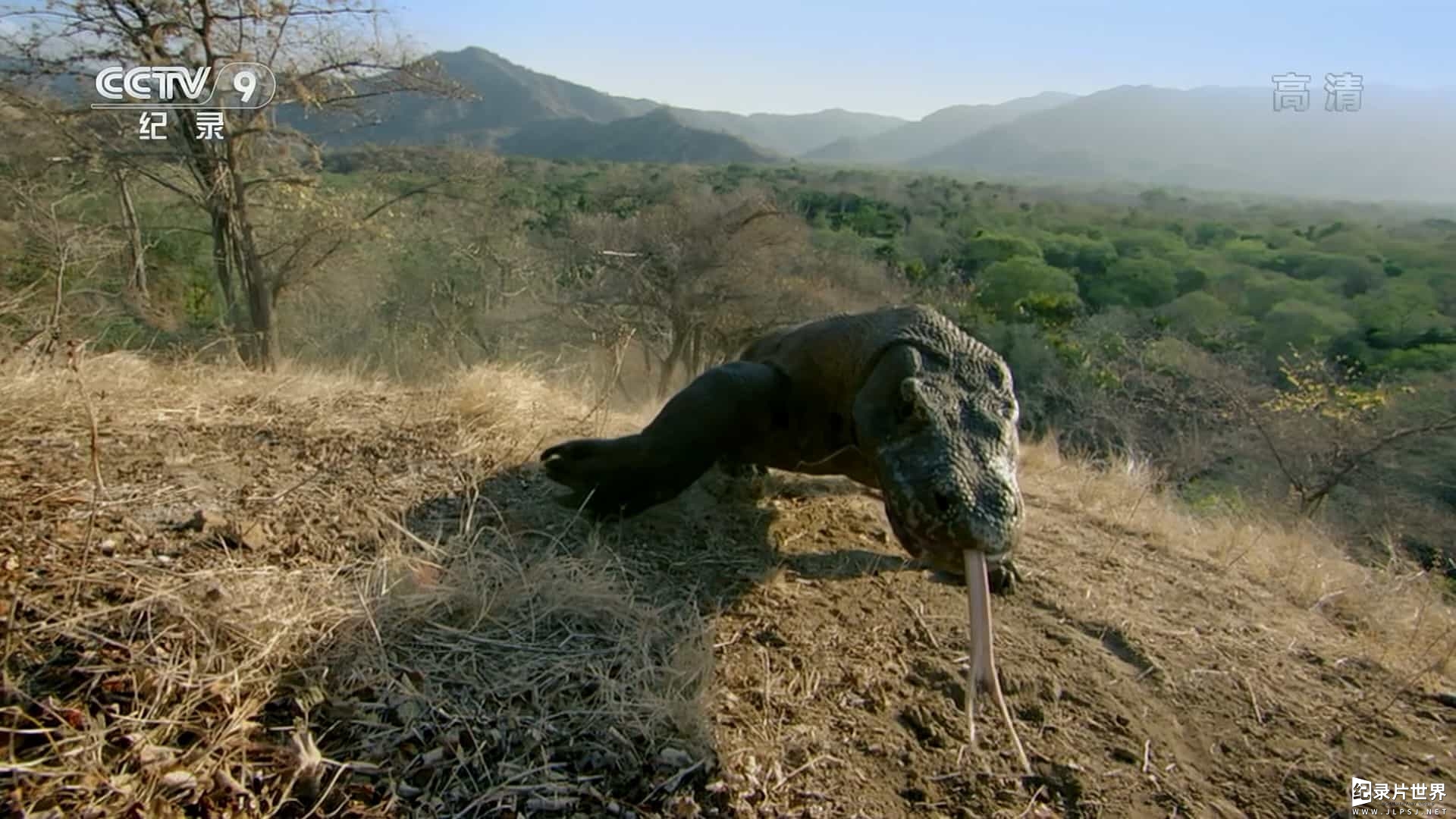 BBC纪录片《最大野兽 Nature's Biggest Beasts 2018》全1集