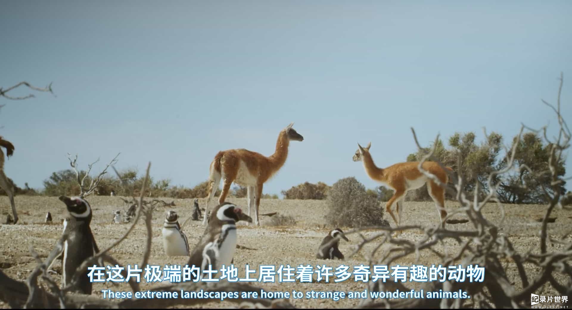 BBC纪录片《巴塔哥尼亚：地球秘密乐园/帕塔哥尼亚：神秘天堂 Patagonia: Earth's Secret Paradise 2015》全3集