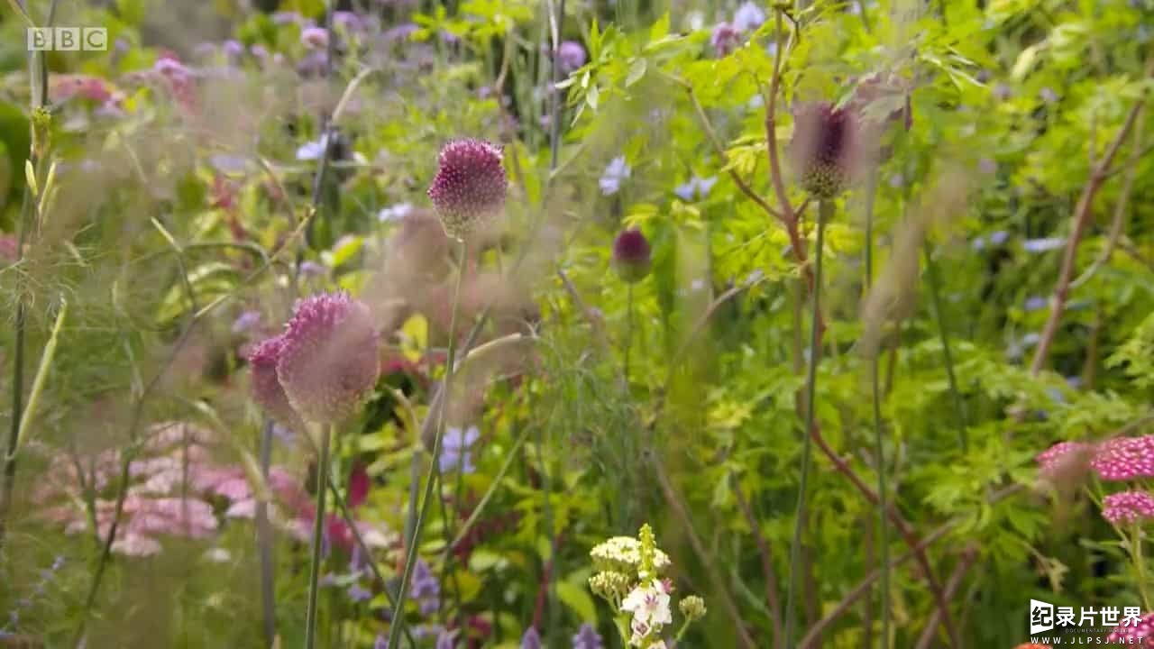 BBC纪录片《汉普敦宫花展 Hampton Court Palace Flower Show 2017》全3集