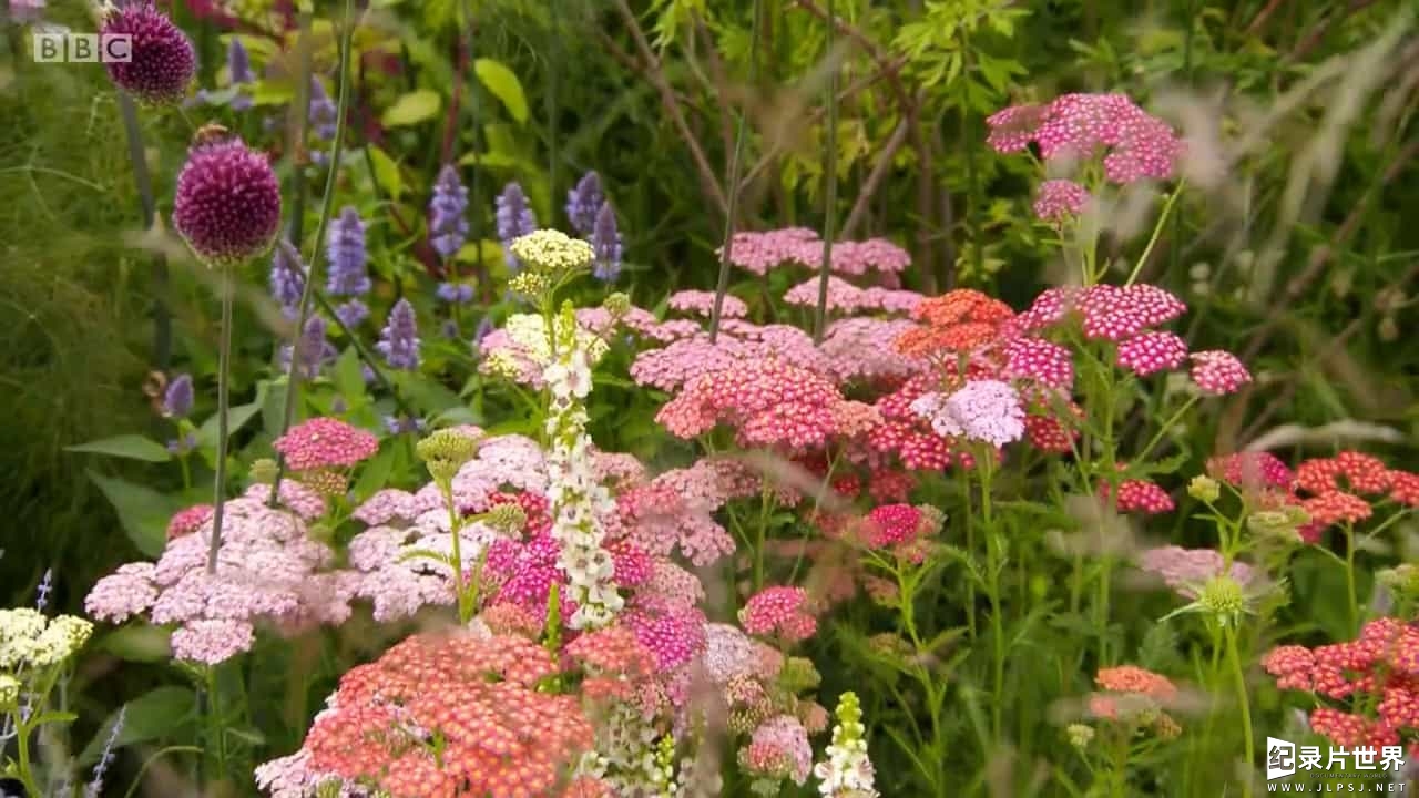 BBC纪录片《汉普敦宫花展 Hampton Court Palace Flower Show 2017》全3集