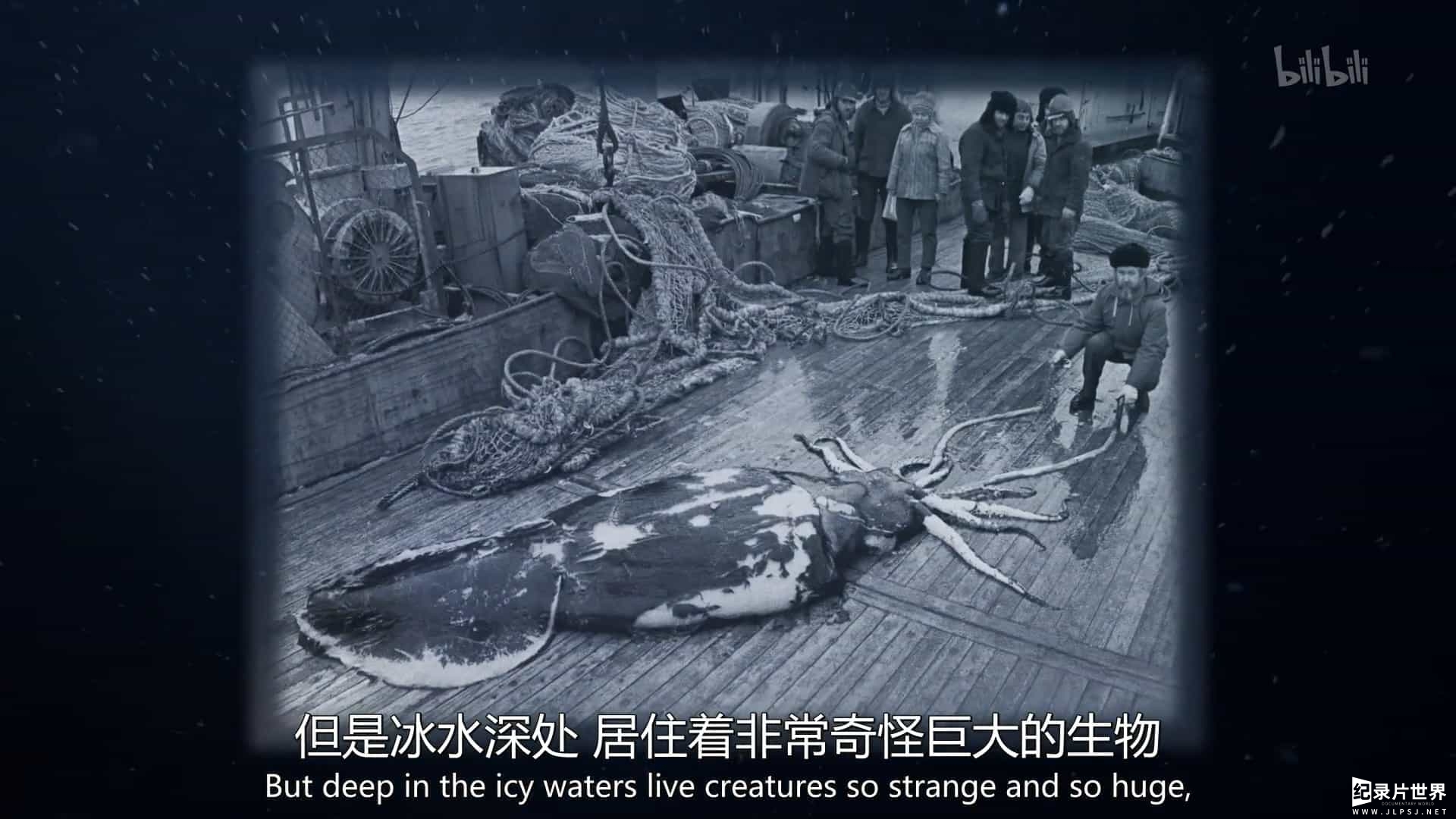 BBC纪录片《深邃海洋：南极深处的巨兽 Deep Ocean:Giants of the Antarctic Deep 2018》全1集