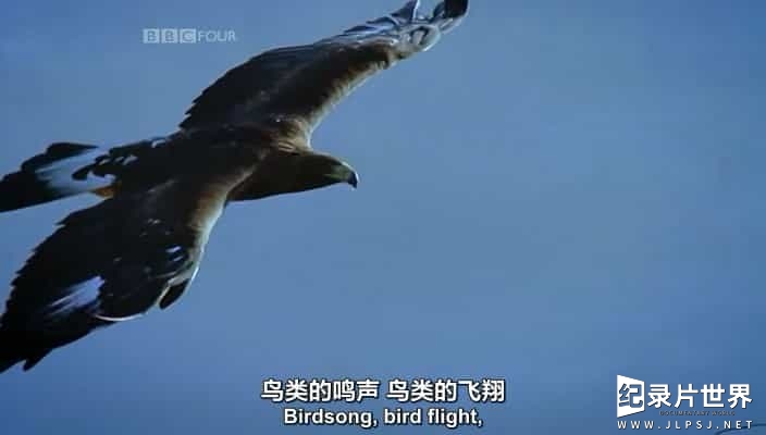 BBC纪录片《不列颠鸟类 园林鸟类 Birds Britannia Garden Birds》全1集 