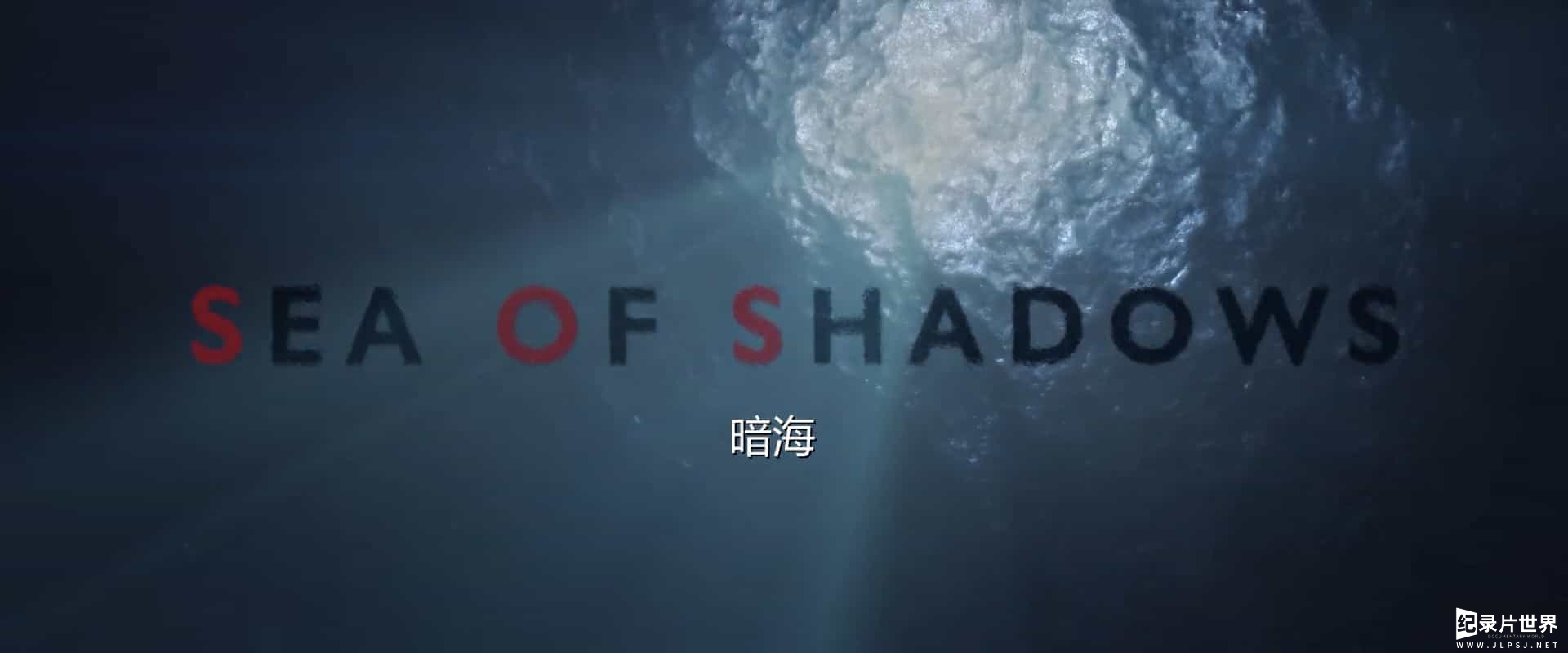 国家地理《暗海/海豚守护战 Sea of Shadows 2019》全1集